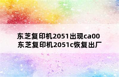 东芝复印机2051出现ca00 东芝复印机2051c恢复出厂